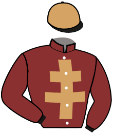 Casaque du n°5 — LAREMONTADA DANICA