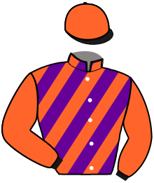 Casaque du n°9 — LADY D'URSIN