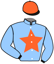 Casaque du n°4 — NEW STAR QUICK