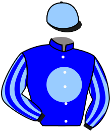Casaque du n°5 — BOLD SCHOLAR