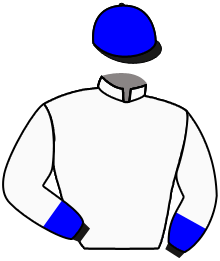 Casaque du n°4 — DISCREET DANCER