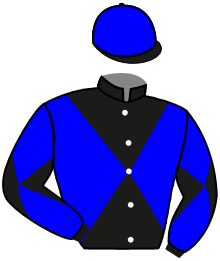 Casaque du n°4 — BEDARD