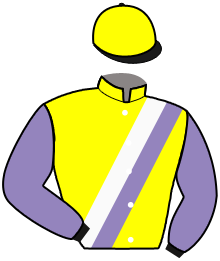 Casaque du n°3 — KOPIAD