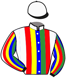 Casaque du n°1 — JIJI DOUZOU
