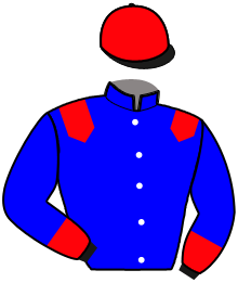 Casaque du n°4 — ICARINO DU CHOQUEL