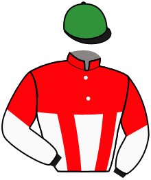 Casaque du n°5 — JUNIOUS HEOT