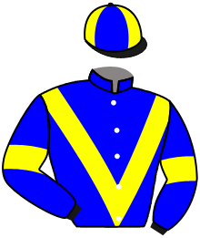 Casaque du n°3 — CHIEF OF STAFF