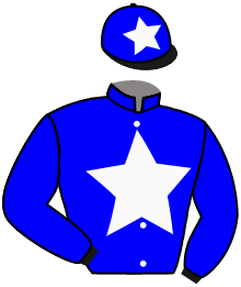 Casaque du n°4 — WILTSHIRE LAD