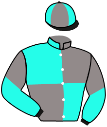 Casaque du n°8 — WIN WIN
