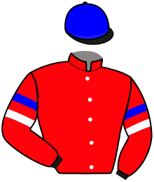 Casaque du n°1 — ASHAT