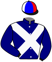 Casaque du n°3 — MONJAMA