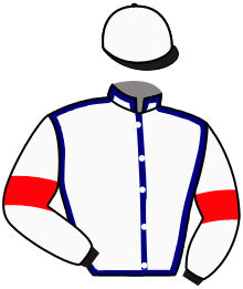 Casaque du n°1 — SPRINGSTEEL