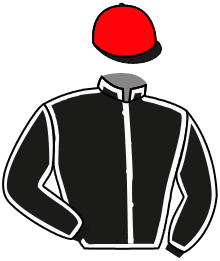 Casaque du n°10 — BARON DE FLANDRES