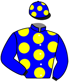 Casaque du n°2 — PRINCE EXPRESS