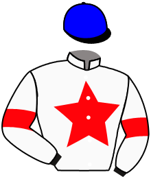 Casaque du n°11 — THESIGER
