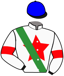 Casaque du n°15 — BOKRA FIL MISHMISH