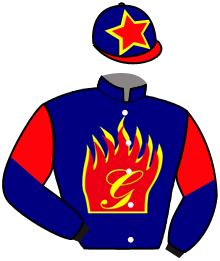 Casaque du n°7 — MAGIC FIRE