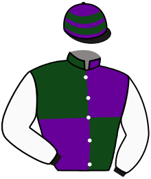 Casaque du n°12 — LADY ACHILLIA