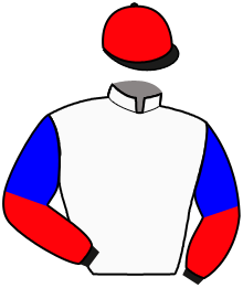 Casaque du n°3 — TRABUCO