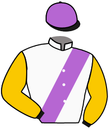 Casaque du n°4 — QUINTO