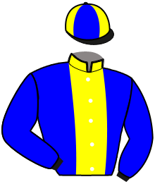 Casaque du n°1 — MUSE DE DOMPIERRE