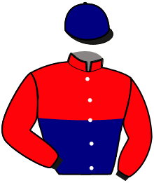 Casaque du n°10 — HOBSON