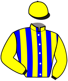 Casaque du n°12 — LYX OF CAMARO