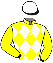 Casaque du n°3 — LAMBO DE LEAU