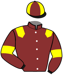 Casaque du n°7 — LE BALIGHAN