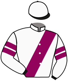 Casaque du n°1 — NOBLE DYNASTY