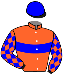 Casaque du n°9 — GULFY