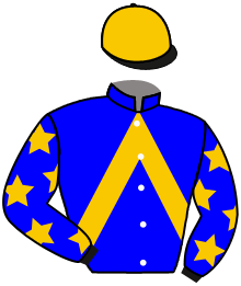 Casaque du n°3 — FOXIEST