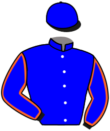 Casaque du n°3 — NERAZURRI