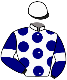 Casaque du n°4 — TAMMANI
