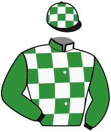Casaque du n°11 — ELFO BREED
