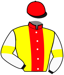 Casaque du n°3 — EMIRRE