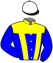 Casaque du n°3 — GUSTAV LYNX