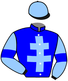 Casaque du n°2 — HAMONET DE CHOISEL
