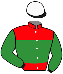 Casaque du n°2 — SHIVA JABI