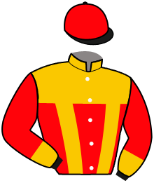Casaque du n°7 — SHIKARA BOKO