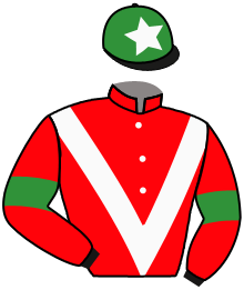 Casaque du n°2 — CUBAN STAR