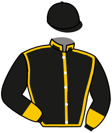 Casaque du n°3 — SUPERJET