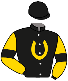 Casaque du n°10 — GODSTONE