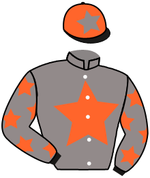Casaque du n°2 — DIO DEL VENTO