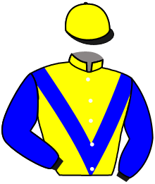 Casaque du n°3 — MASIBA