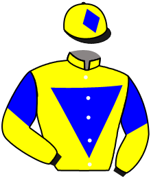Casaque du n°11 — WAYOMI DIAMOND