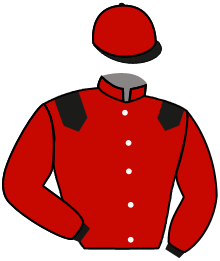 Casaque du n°7 — FLAMING ROSE