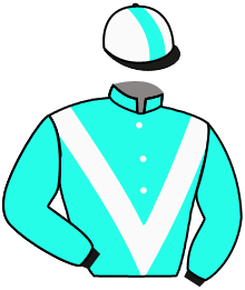 Casaque du n°9 — SURSELVA