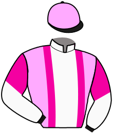 Casaque du n°4 — NELSON GAY