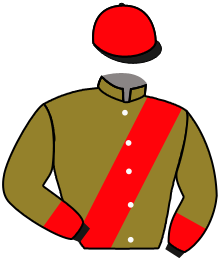 Casaque du n°6 — BACARDA